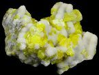 Sulfur Crystals on Aragonite - Italy #39017-2